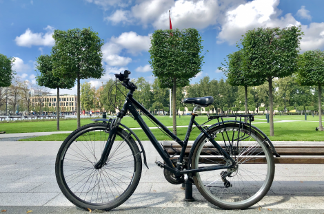 Univega Hybrid bike for woman in the background of the park in Vilnius for rent