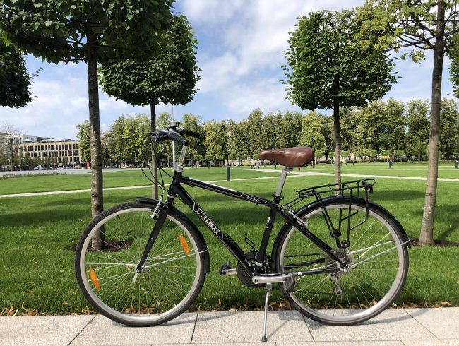 City bike Trek for men in the background of park for rent